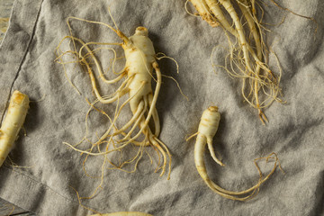 Raw Organic Healthy Ginseng Root