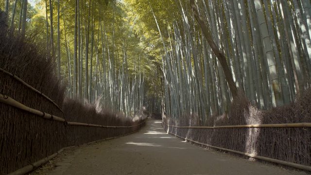 Arashiyama, bamboo forest in Kyoto. 25fps.