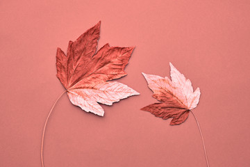 Fall Fashion, Vintage. Maple Leaf Couple. Autumn Arrives. Minimal on Vanilla Pastel Background....