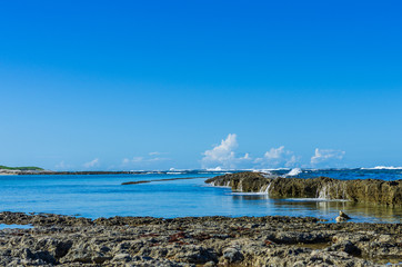 Fototapeta na wymiar Küste bei Pointe des Chateaux, Guadeloupe