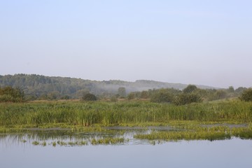 Morning by the lake.
