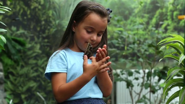 Child watching butterfly at tropical garden. Little girl feeding exotic butterflies