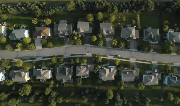 The Suburbs