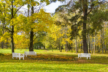 benches and flowerbed in autumn park