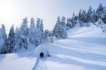 Winter landscape with a snow igloo