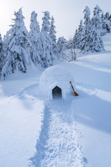 Winter landscape with a snow igloo - obrazy, fototapety, plakaty