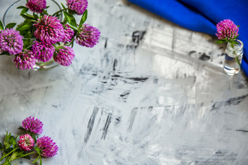 Pink Clover flowers on table with blue background
