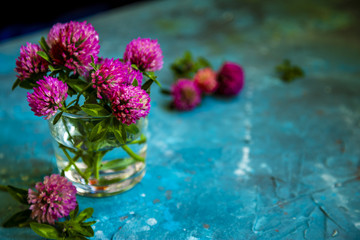 Pink Clover flowers on table with blue background