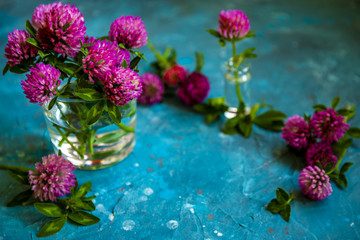 Pink Clover flowers on table with blue background