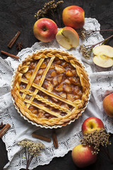 Homemade American apple pie