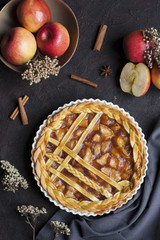 Homemade American apple pie