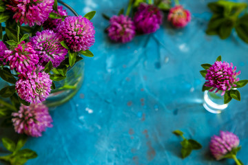 Pink Clover flowers on table with blue background