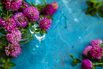 Pink Clover flowers on table with blue background