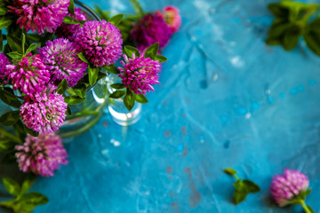 Pink Clover flowers on table with blue background