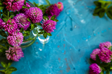 Pink Clover flowers on table with blue background