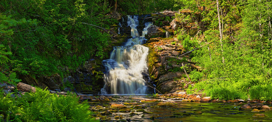 Fototapeta premium Panorama of the picturesque forest waterfall