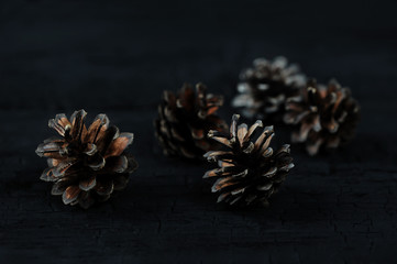 pine cones on black wooden background