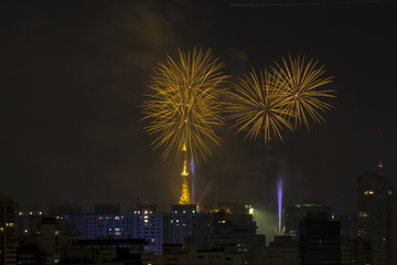 Sao Paulo, Brazil January 01, 2013. Burning of fireworks of Paulista Avenue during the Reveillont 2013, seen from the neighborhood of the Aclimacao.