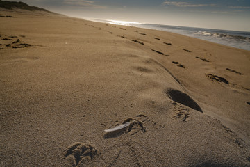 Amagansett