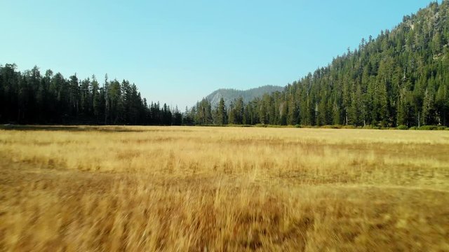 Aerial drone flight over high sierra mountain dry grassy meadow at 30 frames per second.