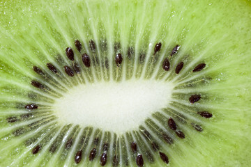 ripe green kiwi