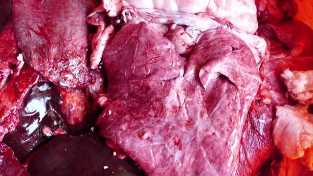 offal for fresh cow liver, liver, lung, spleen and heart,


