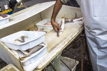 Fish is cut in a kiosk of a street market in Sao Paulo