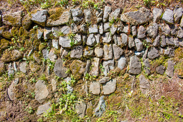Hintergrund – bewachsene Natursteinmauer