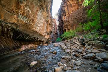 Young Female Hiking Through the Narrows, Zion National Park, Utah - USA
