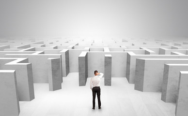 Obraz premium Businessman choosing between entrances in a middle of a maze 