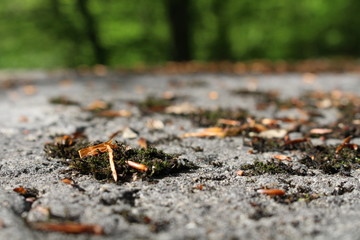 Close-up of the base of a column