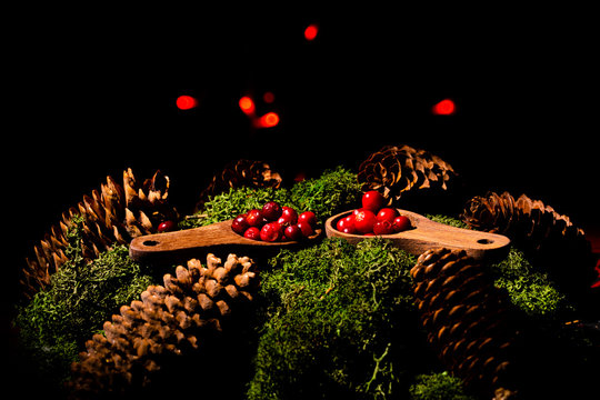 Lingonberry in a wooden mug from Sweden on a bed of moss and cones