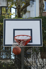 basket