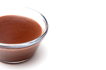 Single Bowl of Homemade Chocolate Pudding on a White Background