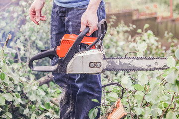 Obraz premium A man with a chainsaw is preparing to saw a tree fallen after a hurricane
