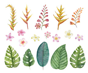 Fototapeta premium Tropical flowers and leaves