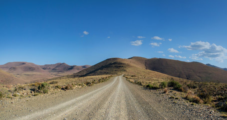 Looking For Adventure