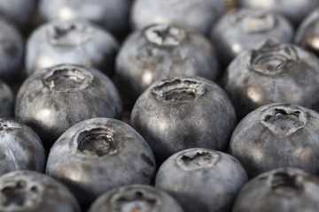 large ripe blueberries