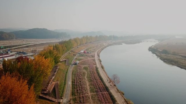 Aerial view autumn forest at Asan Gingko Tree Road,Seoul,South Korea.