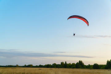 Paraplane on the blue sky background, leisure activity.
