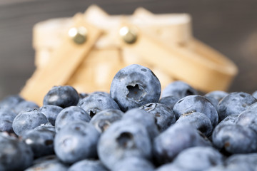 blueberry berries