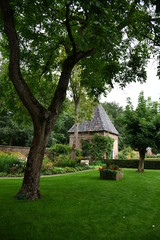 Fototapeta na wymiar Baum im Schlosspark