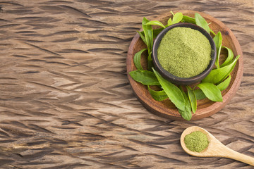 Natural sweetener in powder from stevia plant - Stevia rebaudiana