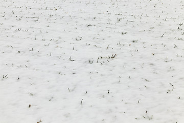 Snow drifts in winter