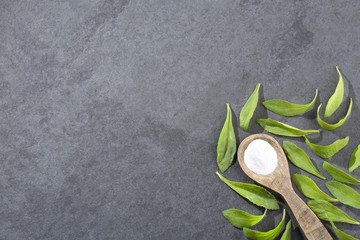 Natural sweetener in powder from stevia plant - Stevia rebaudiana