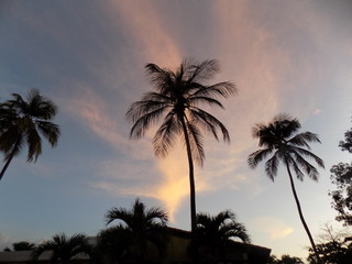 Obraz premium sunset