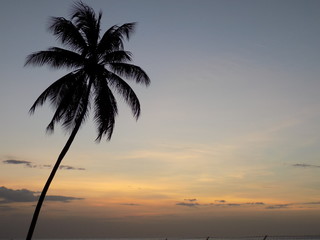 Obraz premium sunset