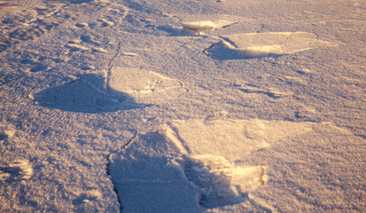 surface of snow
