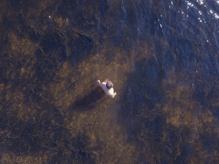 aerial top view of summer resort heaven beach on the sea background with copy space and man walking swimming