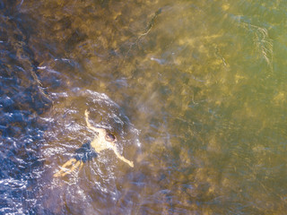 aerial top view of man enjoying swim in heaven ocean lagoon background